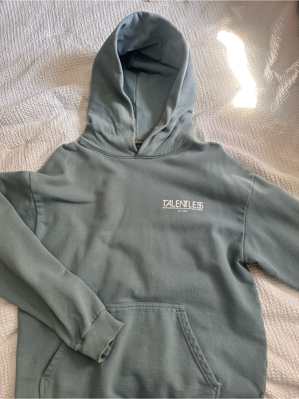 TALENTLESS Light Sage Interior-Print Hoodie